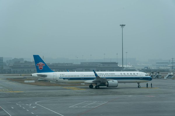 Comment planifier une expédition pour voir les lions de mer sur les côtes de la Patagonie argentine?