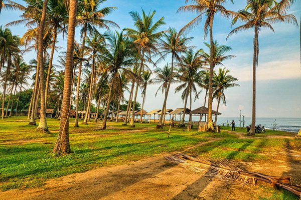Quelle croisière propose des ateliers de cuisine végétalienne avec des chefs réputés?