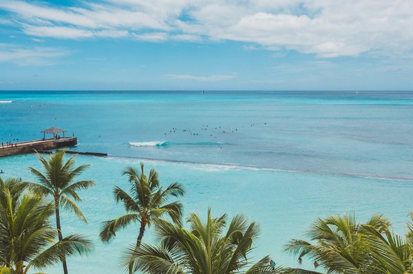 Quels sont les conseils pour camper en toute sécurité dans des zones à forte présence de prédateurs?
